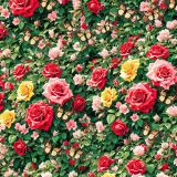 Rose-Bush-with-Butterflies-42
