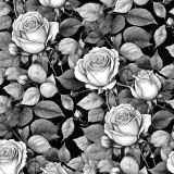 Rose-Pencil-Drawing