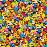 Rubber-Duckies-of-the-World