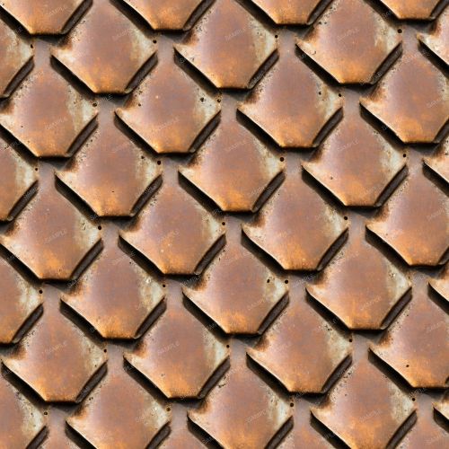 Rusty Scales 42