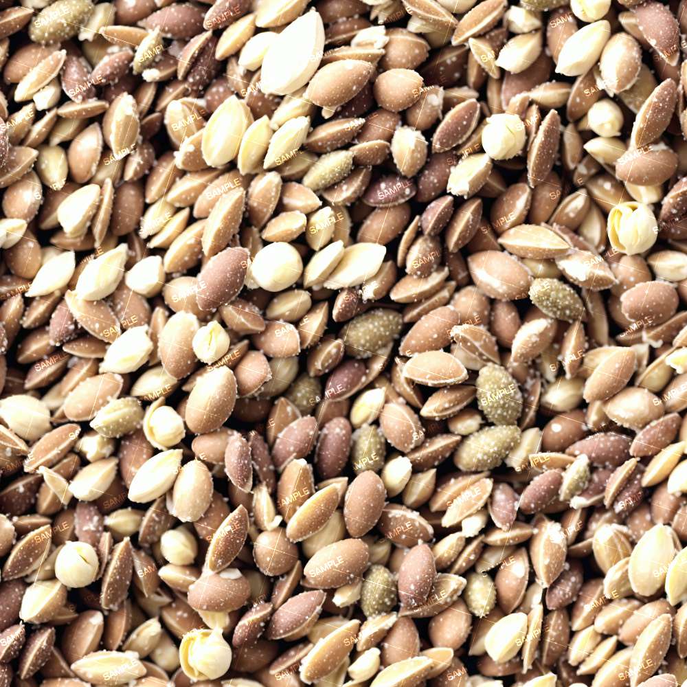 Sativa Kush Marijuana Seeds