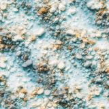 Sea-Floor-43