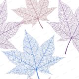 Skeleton-Leaves-22