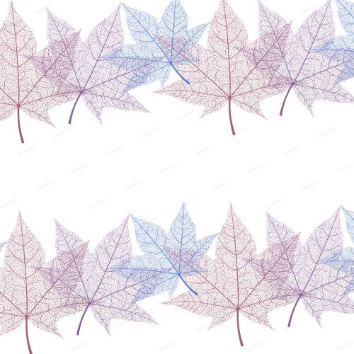 Skeleton Leaves 23