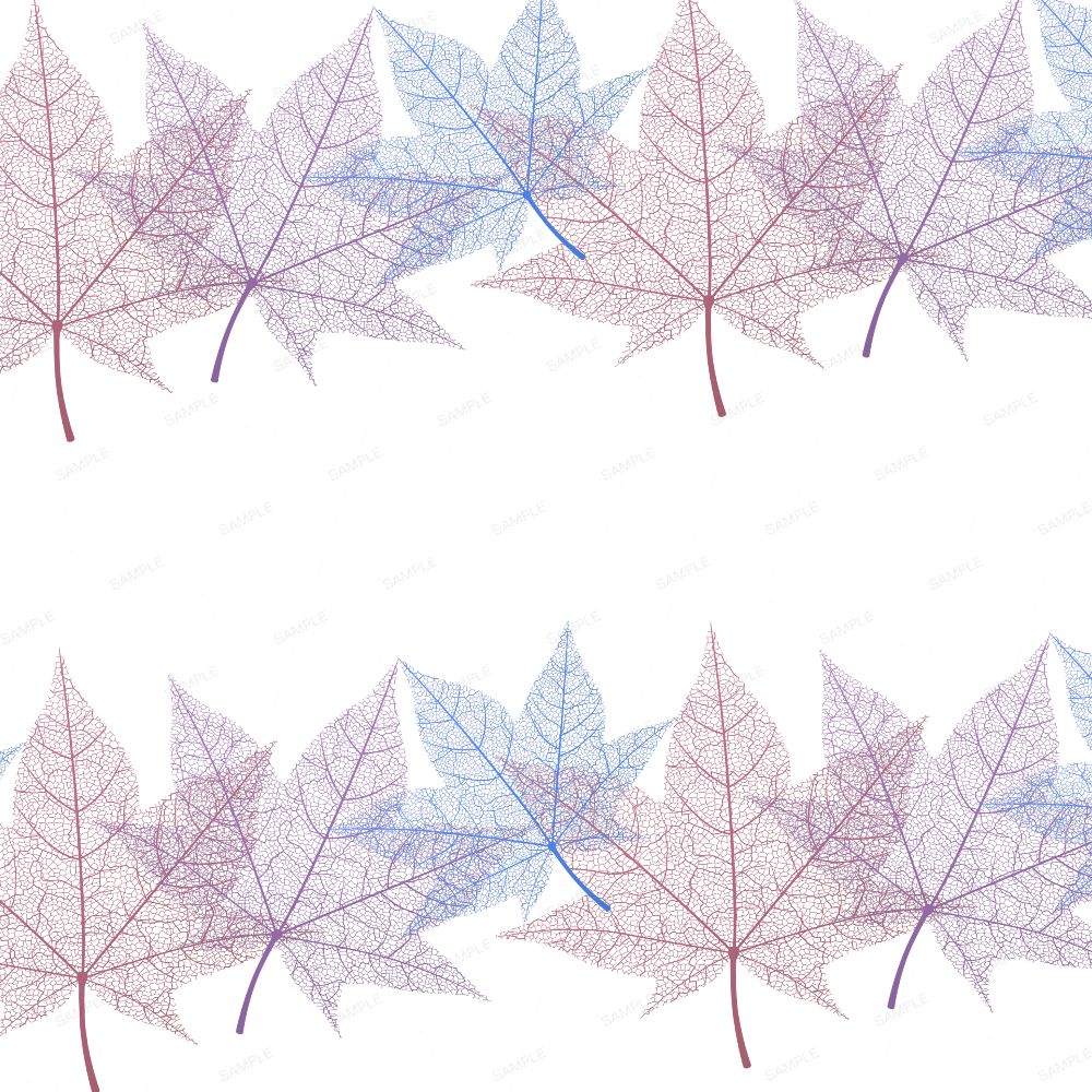 Skeleton Leaves 23