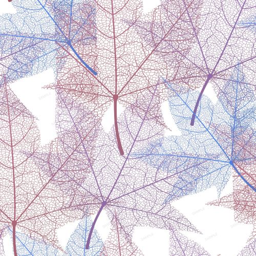 Skeleton Leaves 24