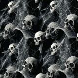 Skulls-Covered-in-Spider-Webs