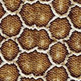 Snake-Skin-52.jpg
