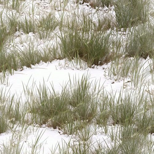 Snow Grass Camouflage