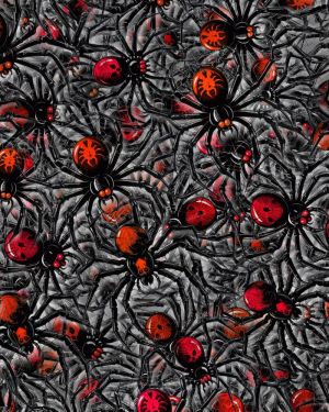 Spider Infestation 43