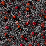 Spider-Infestation-43