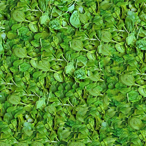 Spinach