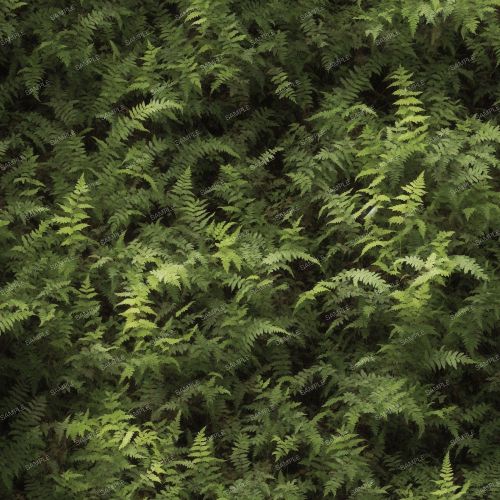 Stand of Ferns