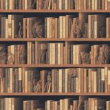 Steampunk-Bookshelf-45