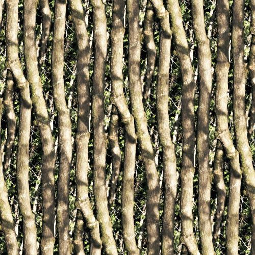 Stick Fence 45