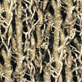 Stick-Fence-46