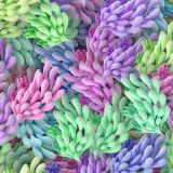 Stretched-Balloons