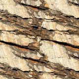 Striated-Fault-Plane-in-Sedimentary-Rock