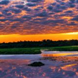 Sunset-on-the-Bayou