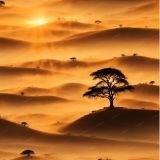 Sunset-on-the-Sahara