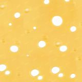Swiss-Cheese-24
