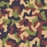 Swiss-Geometric-Camo