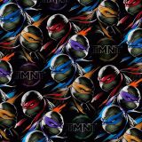 TMNT-42