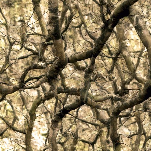 Tactical Camouflage 232