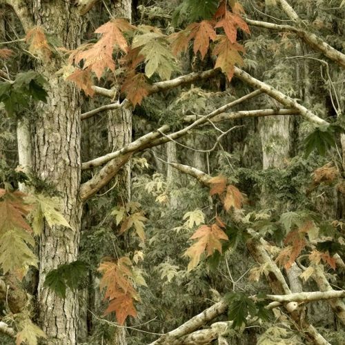 Tactical Camouflage 303