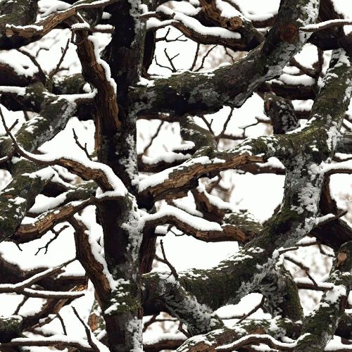 Tactical Camouflage 350