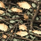 Tactical-Camo-416.jpg