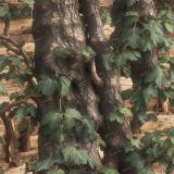 Tactical-Camo-77