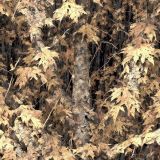 Tactical-Camouflage-226