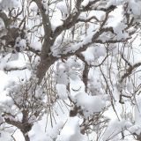 Tactical-Snow-Camo-86