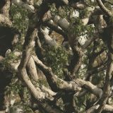 Tactical-Tree-Camo-47
