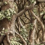 Tactical-Tree-Camo-48
