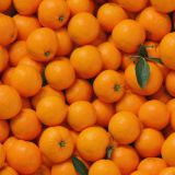 Tangerines