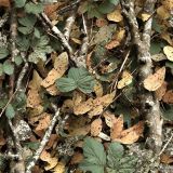 Tatical-Camo-217-1