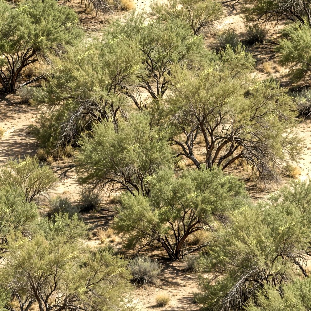 Texas Mesquite Camouflage 46