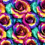 Tie-Dyed-Roses-42