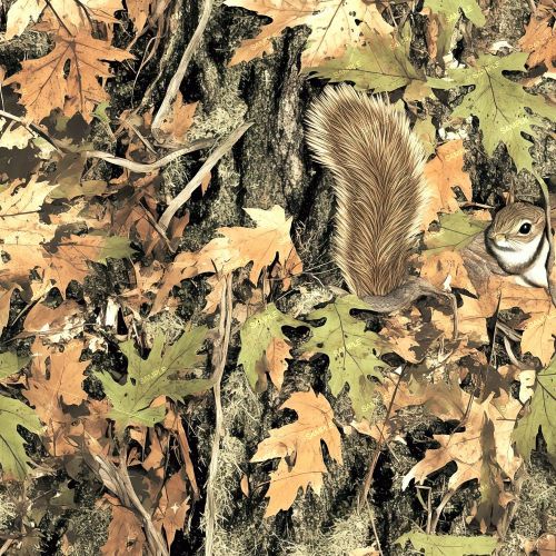Tree and Squirrel Camouflage