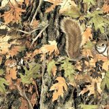 Tree-and-Squirrel-Camo