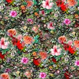 Tropical-Flowers-47