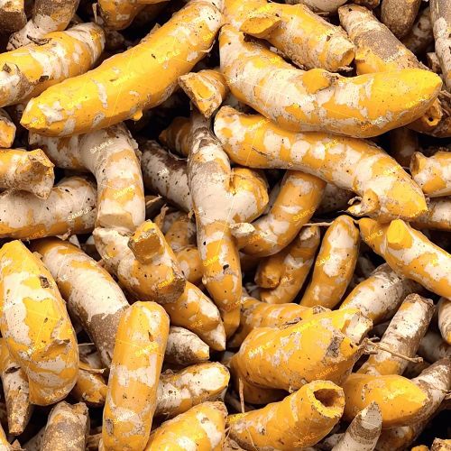 Tumeric Root