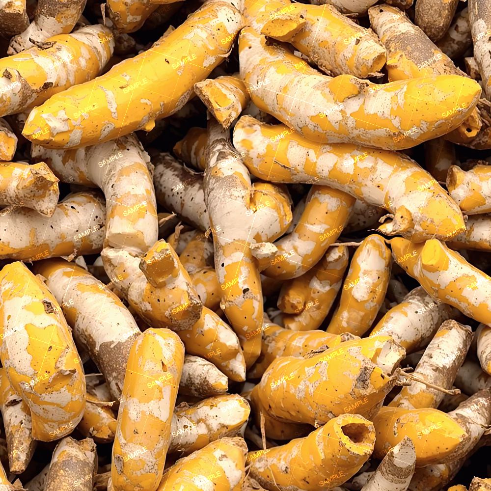 Tumeric Root