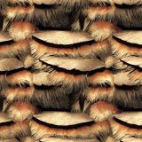 Turkey-Feathers-43