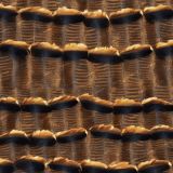 Turkey-Feathers-44