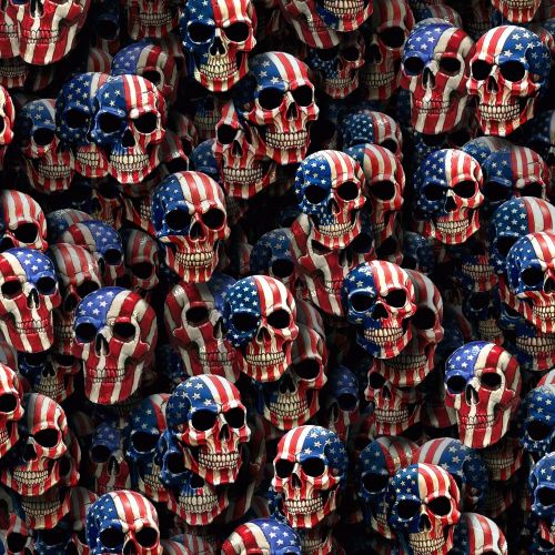US Flag Skulls 47