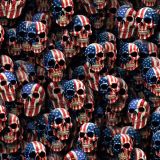 US-Flag-Skulls-47