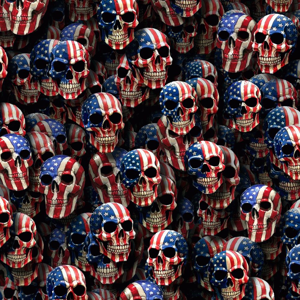 US Flag Skulls 47